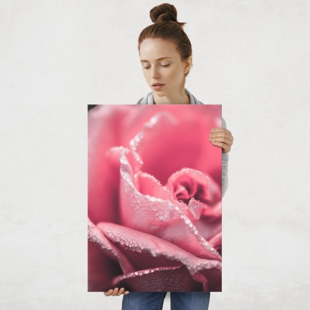 Plakat metalowy róża po deszczu L