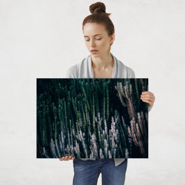 Plakat metalowy natura nie śpi L