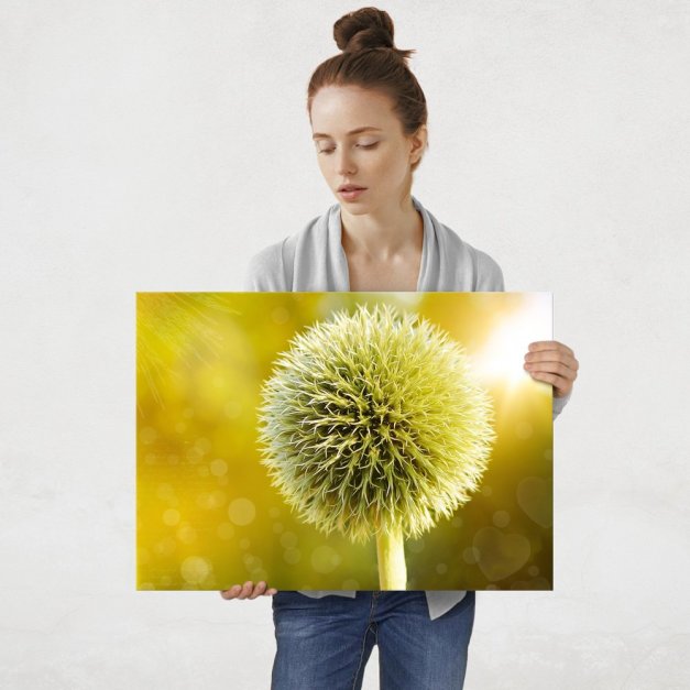Plakat metalowy oset L