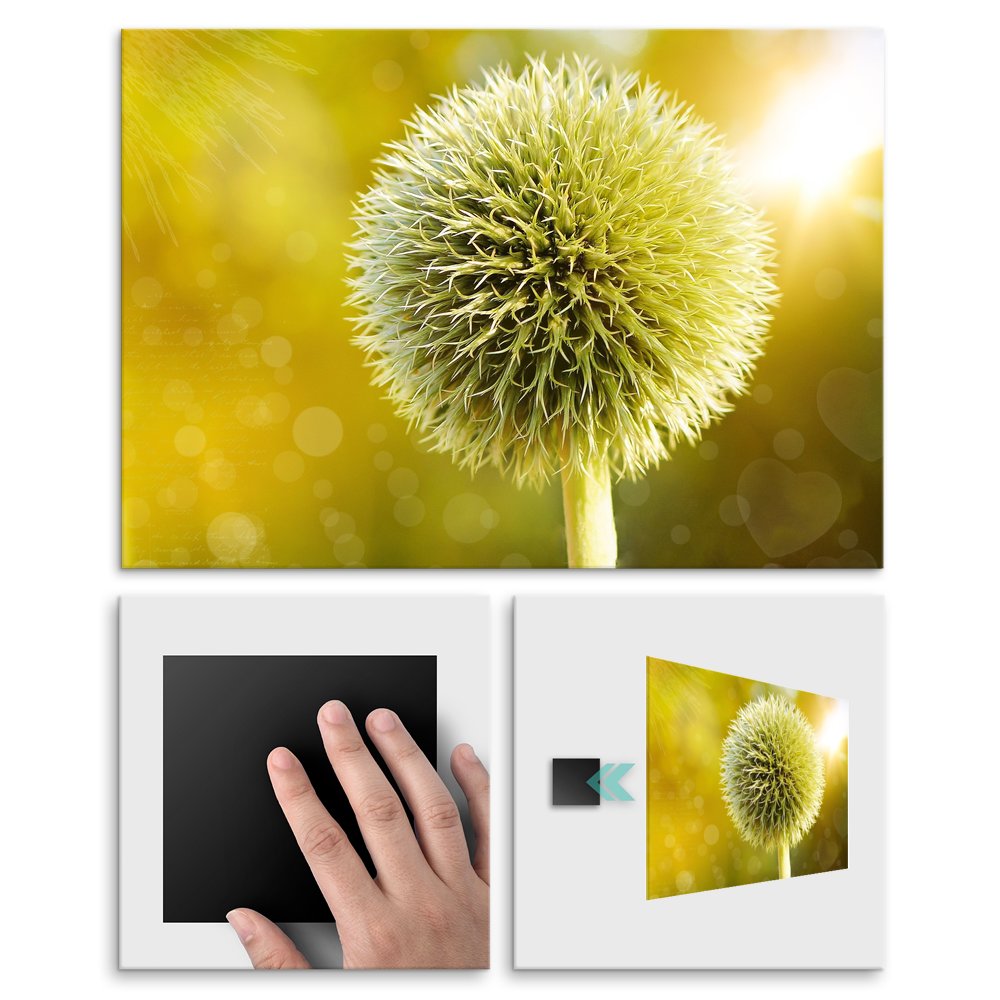 Plakat metalowy oset L