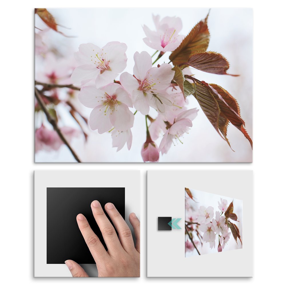 Plakat metalowy kwiaty wini L