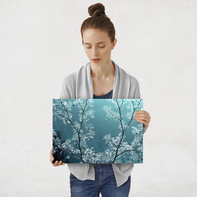 Plakat metalowy natura w blasku księżyca M