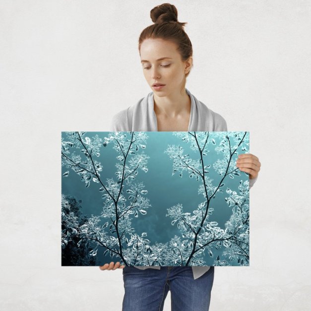 Plakat metalowy natura w blasku księżyca L