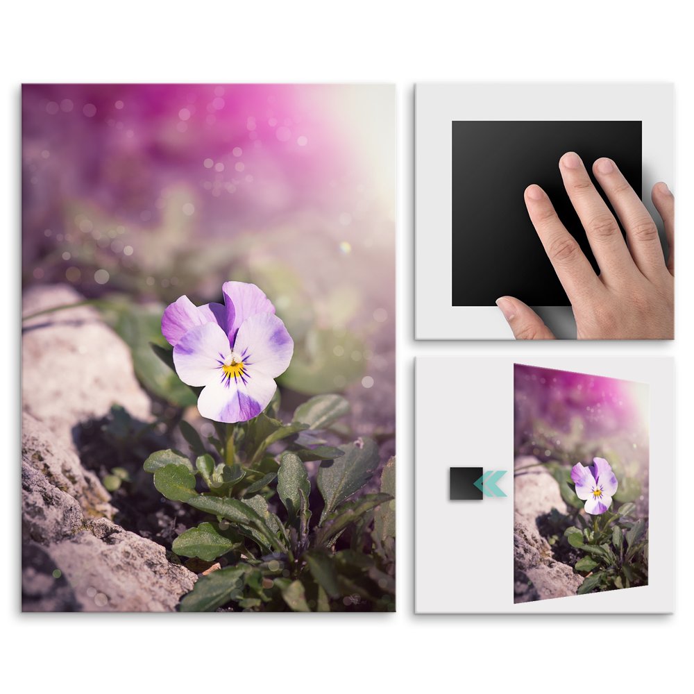 Plakat metalowy lilija L