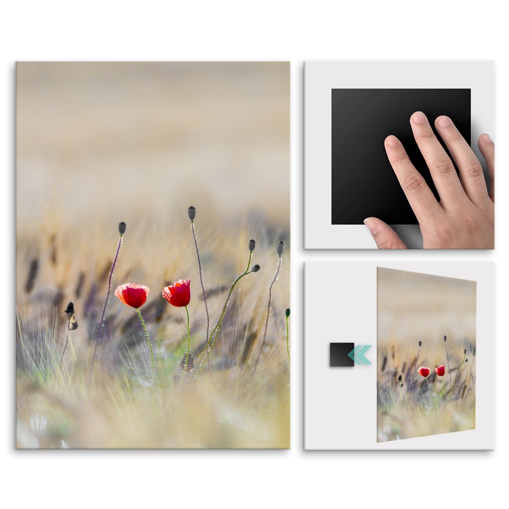 Plakat metalowy maczki L