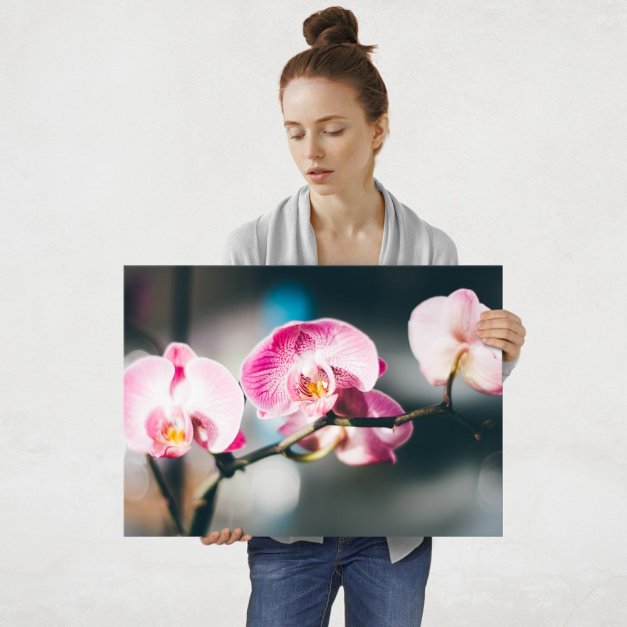 Plakat metalowy orchidea L