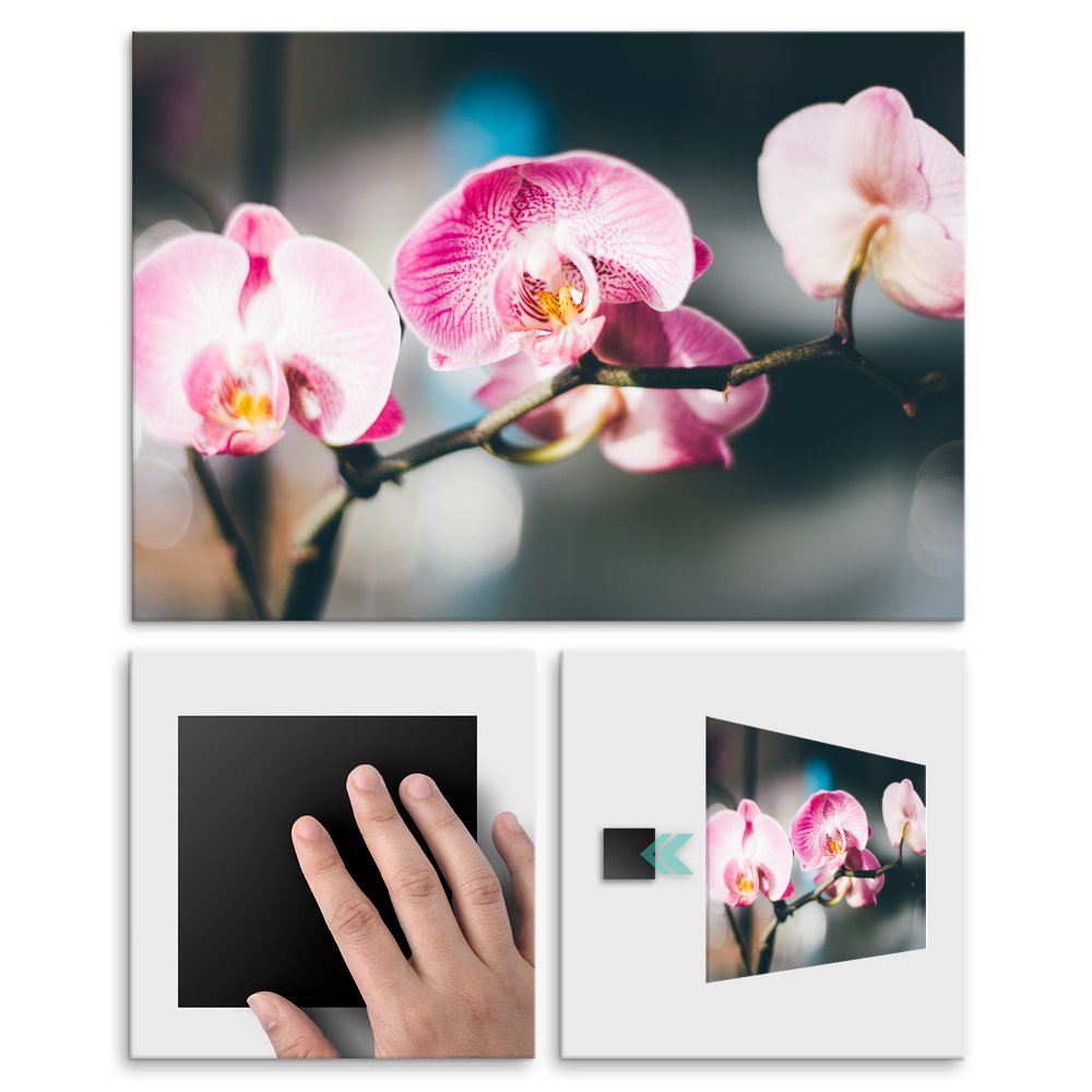 Plakat metalowy orchidea L