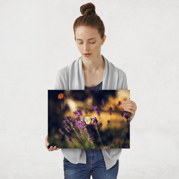 Plakat metalowy lawenda M