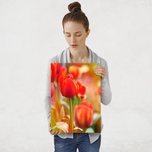 Plakat metalowy tulipany M