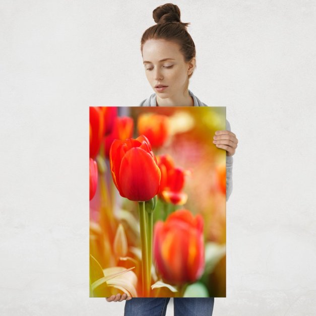 Plakat metalowy tulipany L