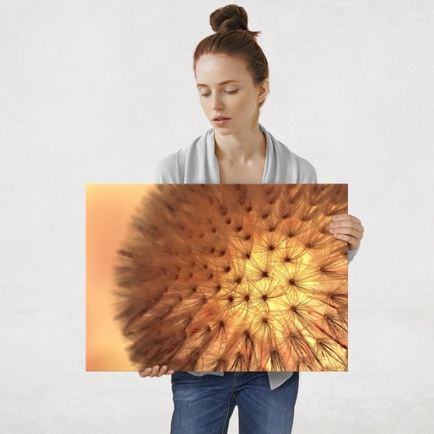 Plakat metalowy dmuchawiec L