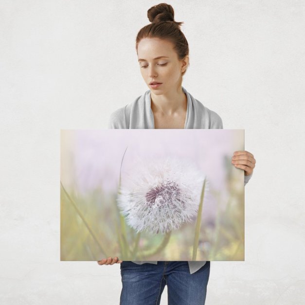 Plakat metalowy dmuchawiec L