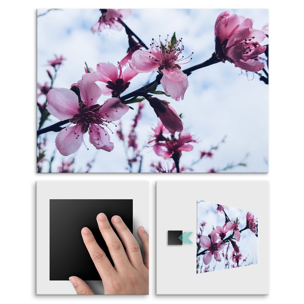 Plakat metalowy kwiaty wini M