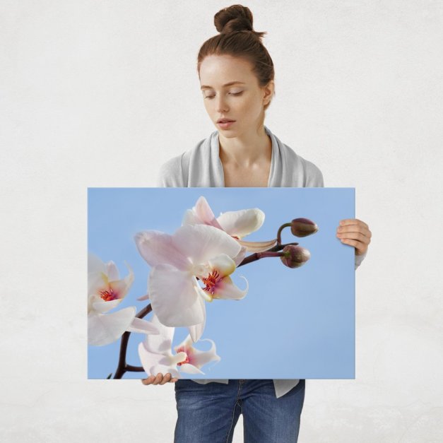 Plakat metalowy orchidea L