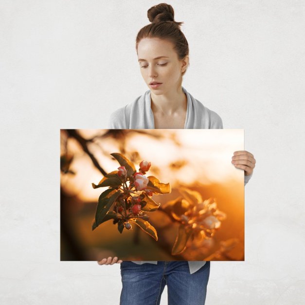 Plakat metalowy w świetle słońca L