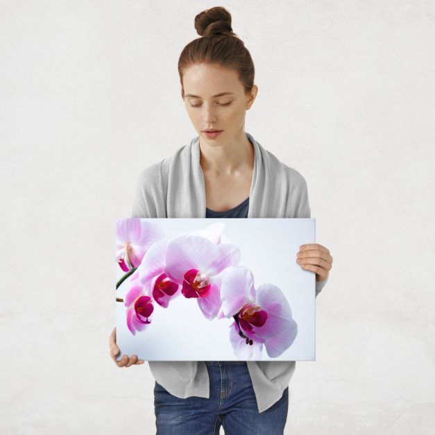 Plakat metalowy orchidea M