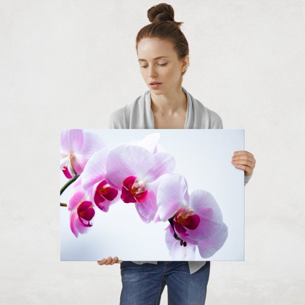 Plakat metalowy orchidea L
