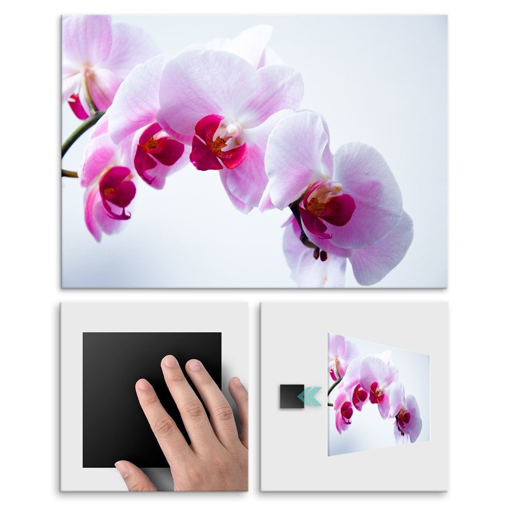 Plakat metalowy orchidea L