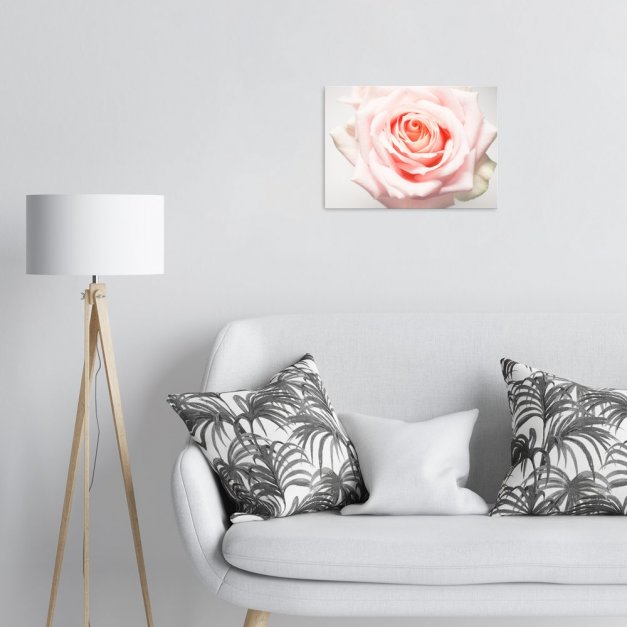 Plakat metalowy kwiat róży M