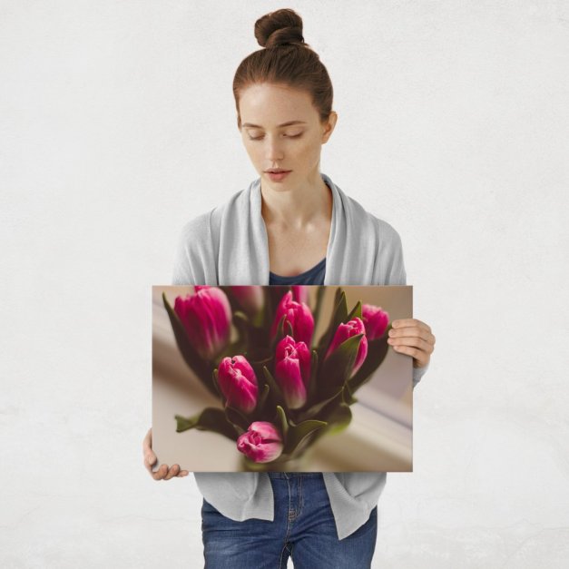 Plakat metalowy różowe tulipany M