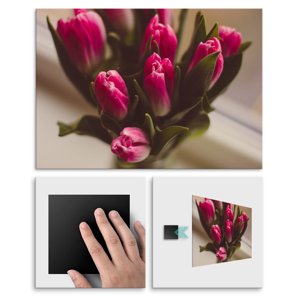 Plakat metalowy rowe tulipany L