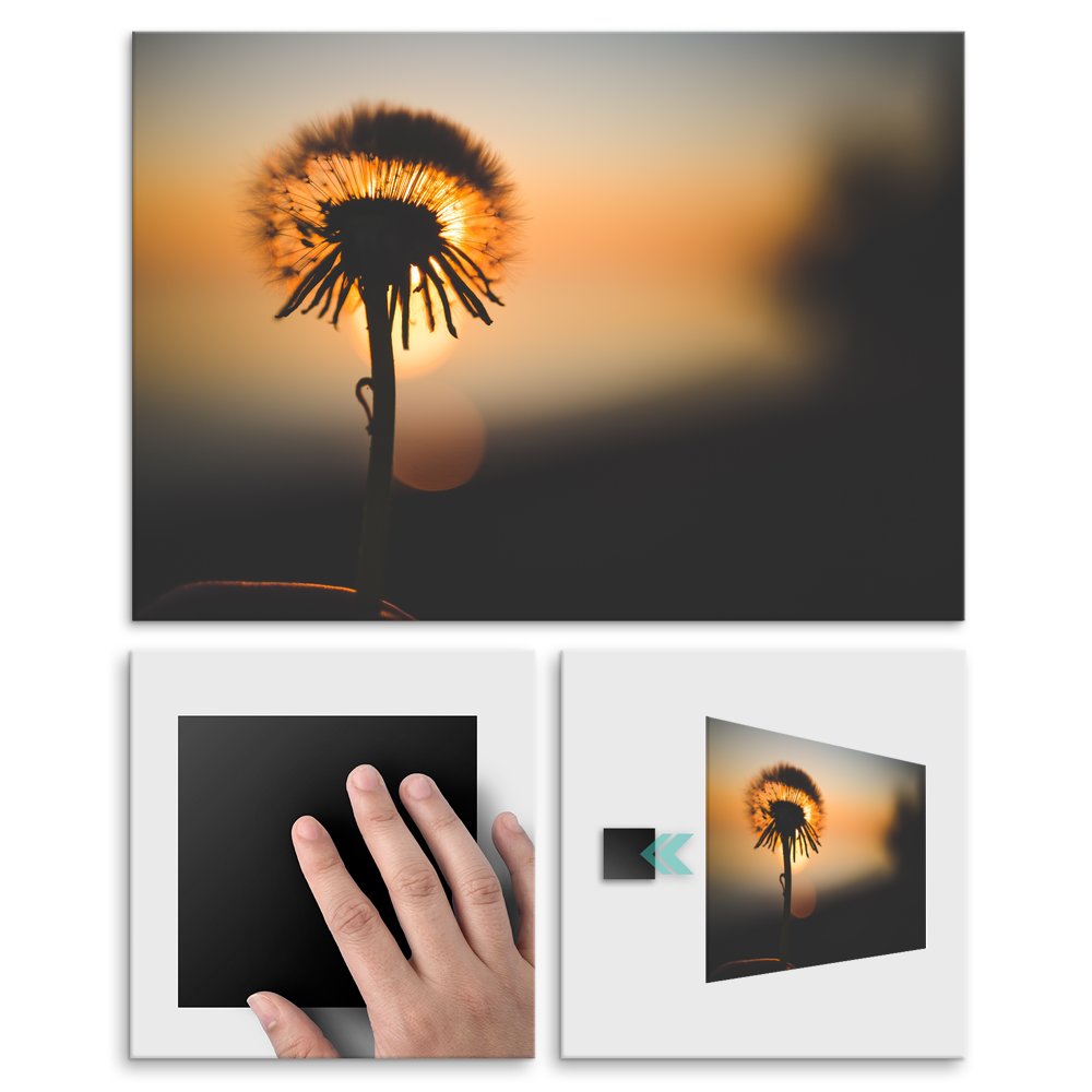 Plakat metalowy dmuchawiec L
