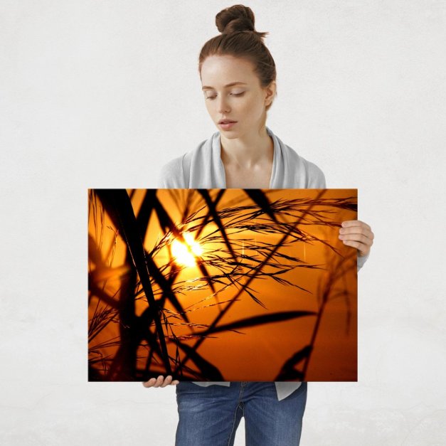 Plakat metalowy blask lata L