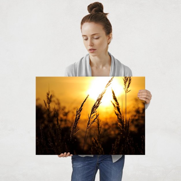 Plakat metalowy lato L