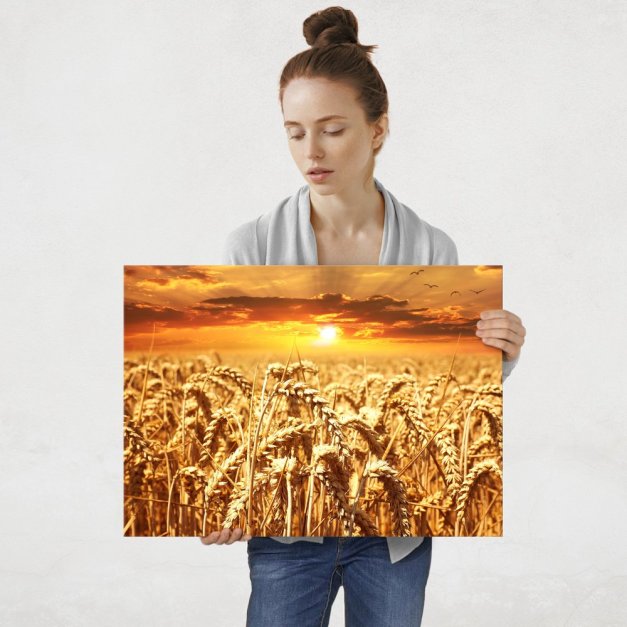 Plakat metalowy susza L