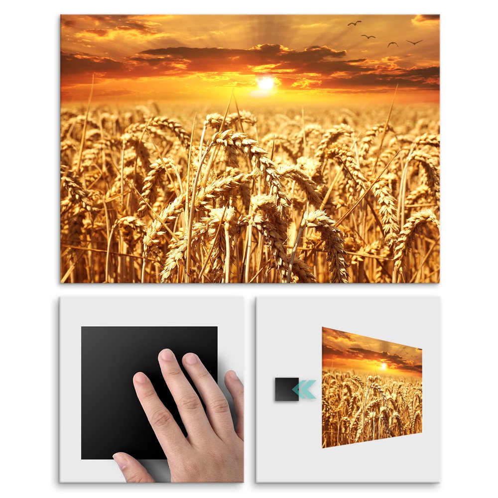 Plakat metalowy susza L