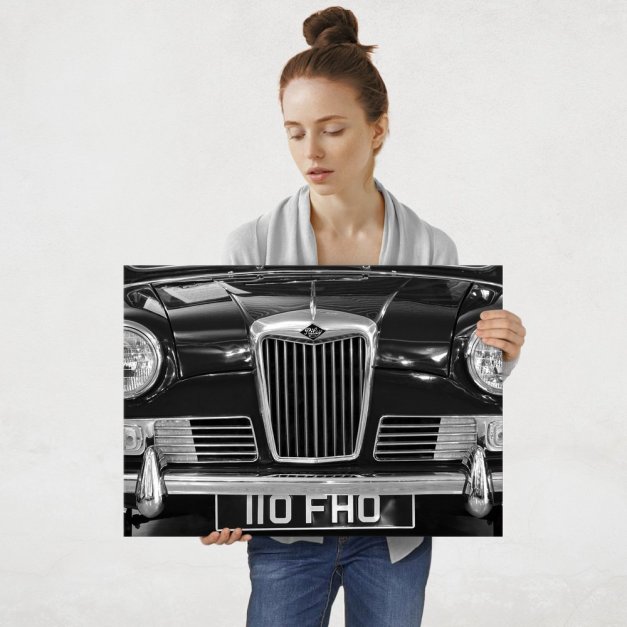 Plakat metalowy Riley L