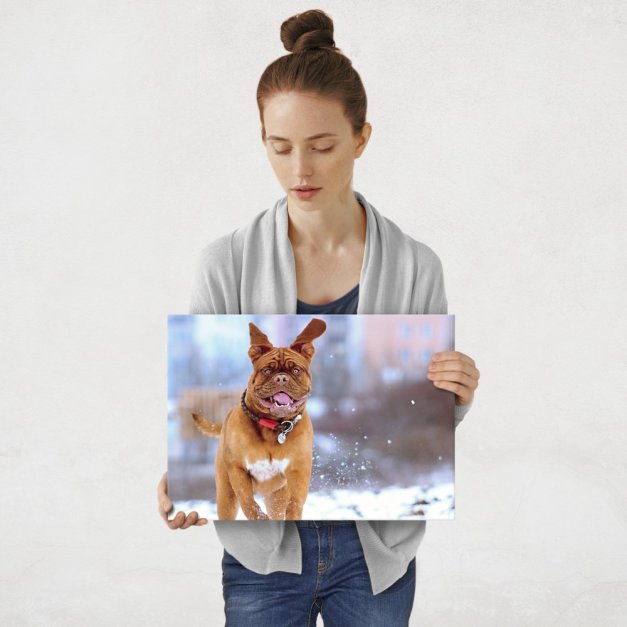 Plakat metalowy mastiff i zabawy zimowe M