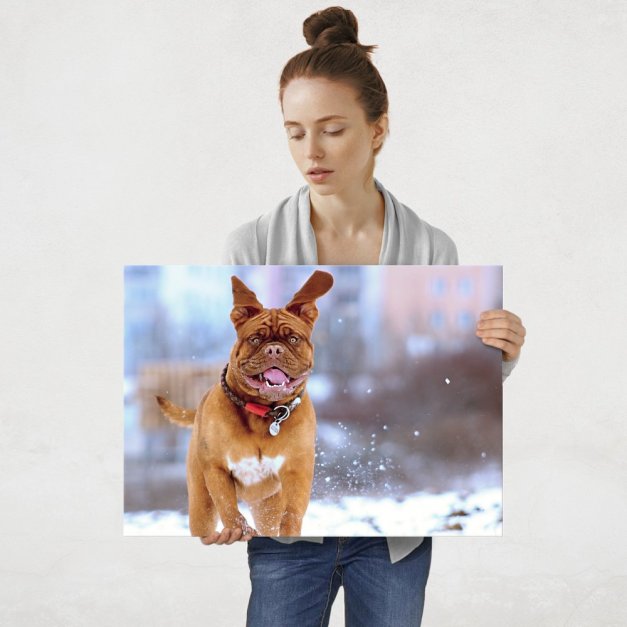 Plakat metalowy mastiff i zabawy zimowe L