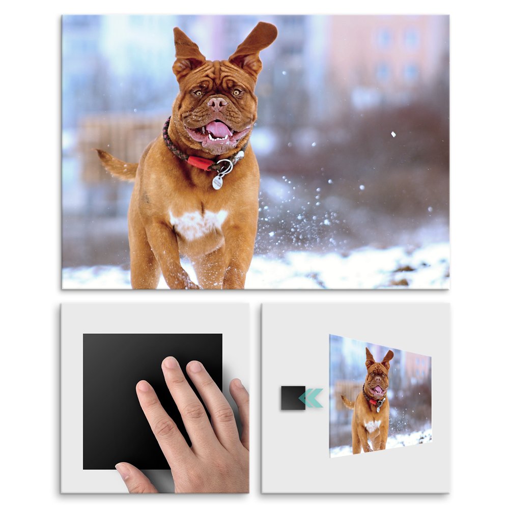 Plakat metalowy mastiff i zabawy zimowe L