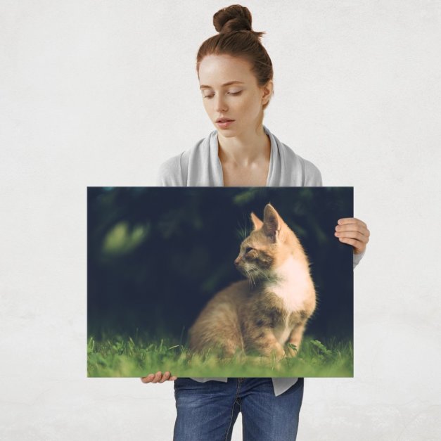 Plakat metalowy koci majestat L