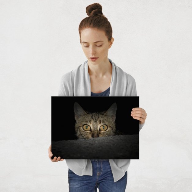 Plakat metalowy Kot pręgowaty M