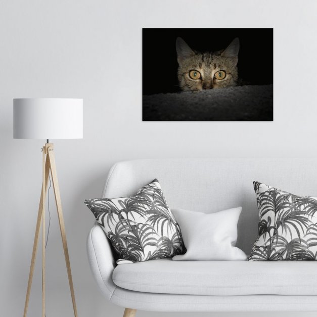 Plakat metalowy Kot pręgowaty L
