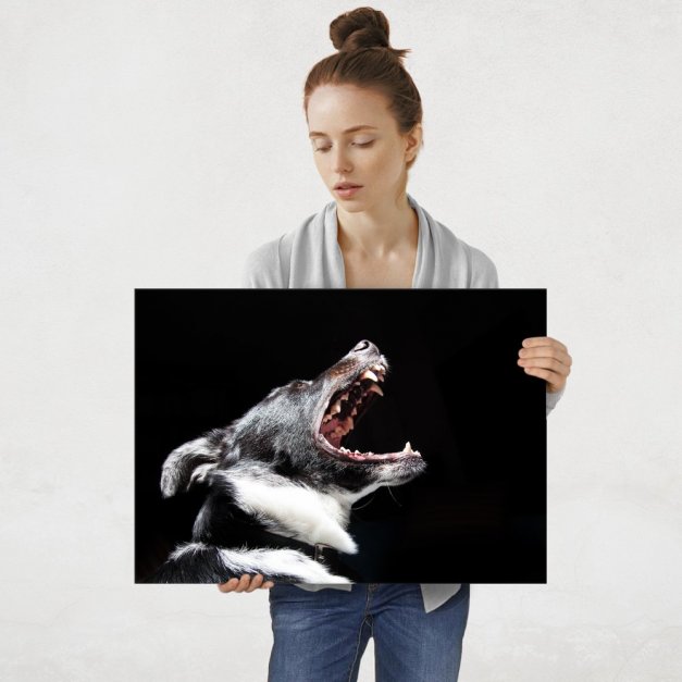 Plakat metalowy psi płacz L