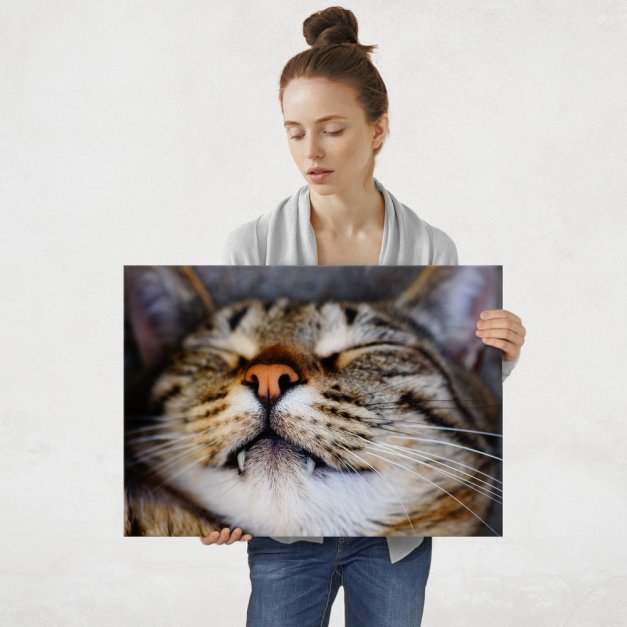Plakat metalowy koci sen L