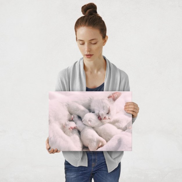 Plakat metalowy kocia mama z dziećmi M