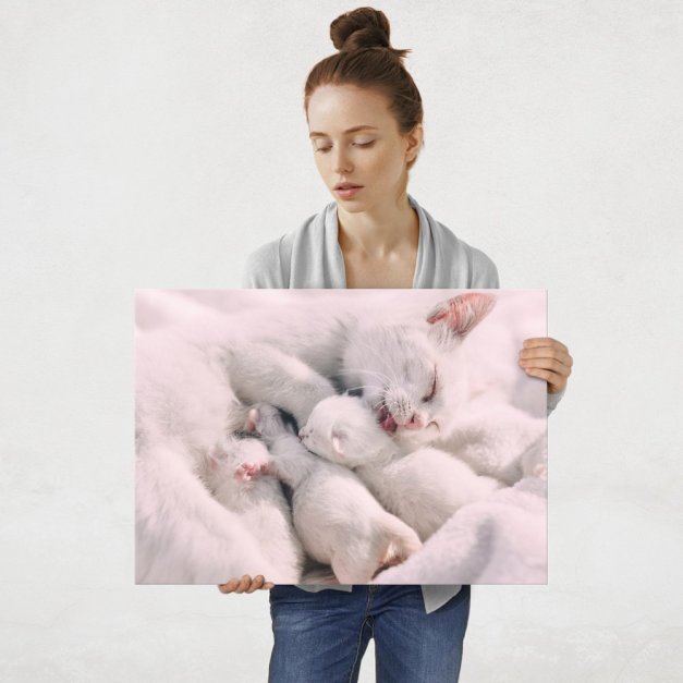 Plakat metalowy kocia mama z dziećmi L
