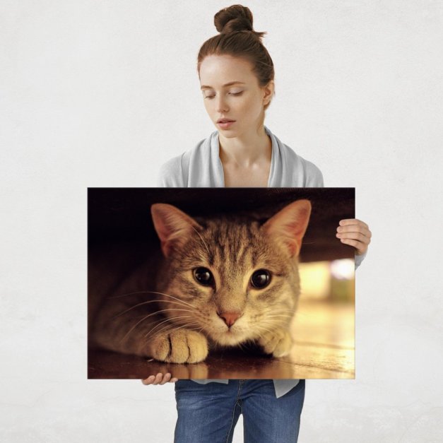 Plakat metalowy kocie oczy L