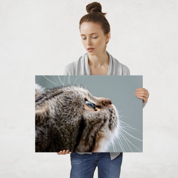 Plakat metalowy proszenie L