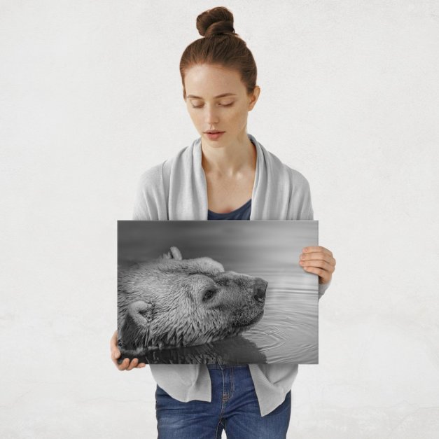 Plakat metalowy miś polarny M