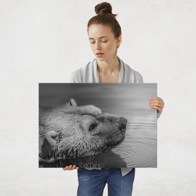 Plakat metalowy miś polarny L