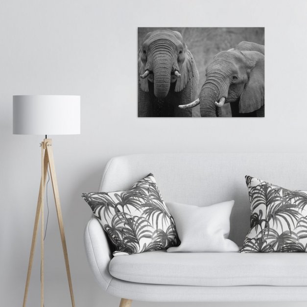 Plakat metalowy słonie L