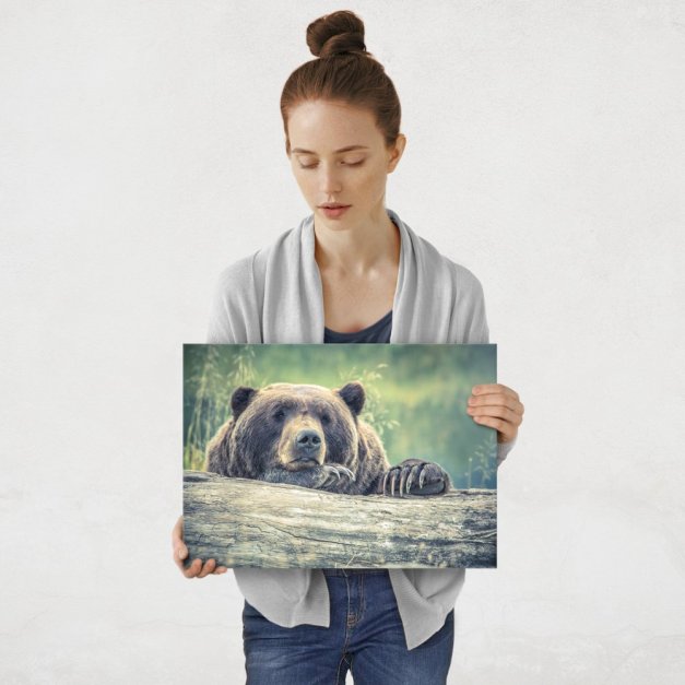 Plakat metalowy grizzly M