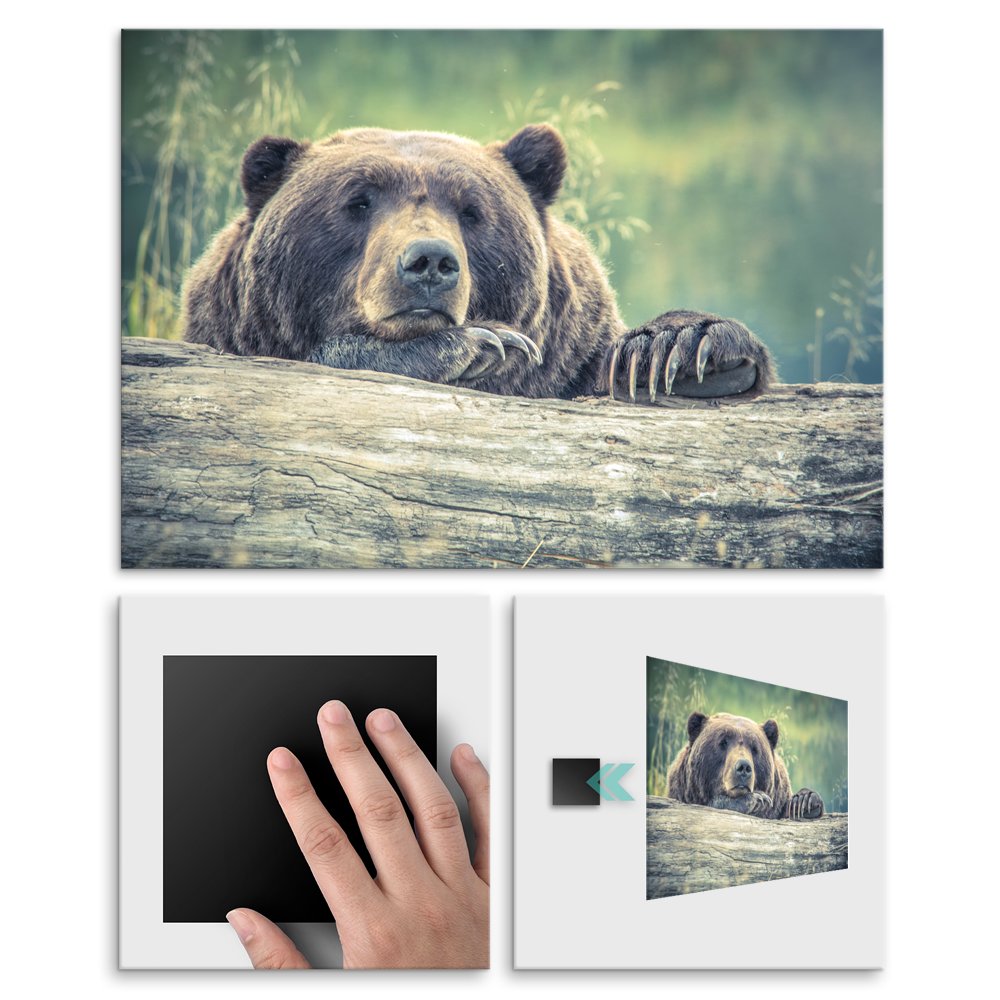 Plakat metalowy grizzly M