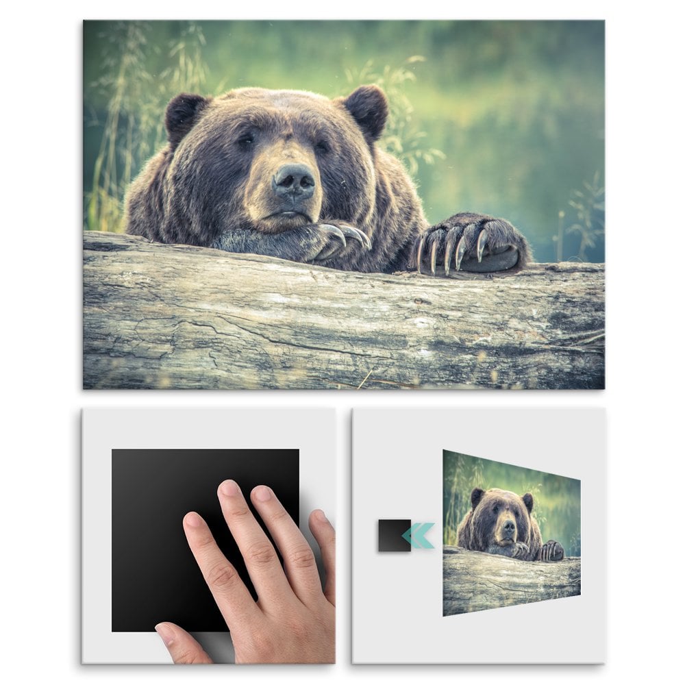 Plakat metalowy grizzly L