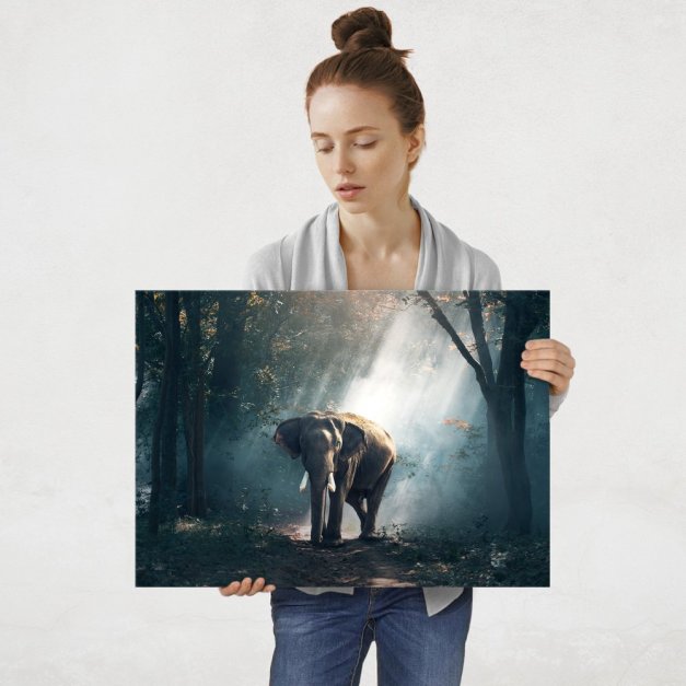 Plakat metalowy słoń w dzikim lesie L